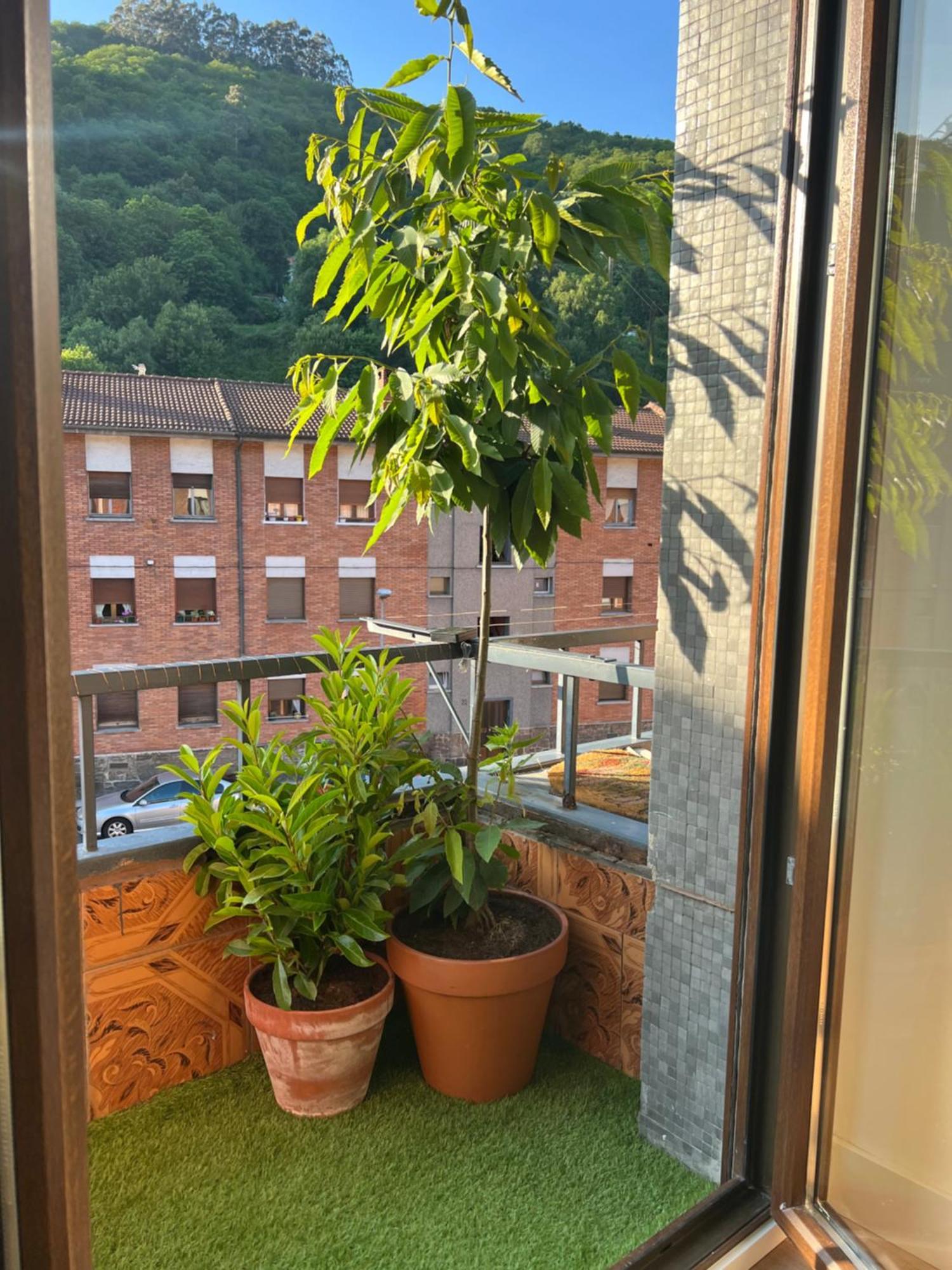 Mountain View Apartment مييريس المظهر الخارجي الصورة